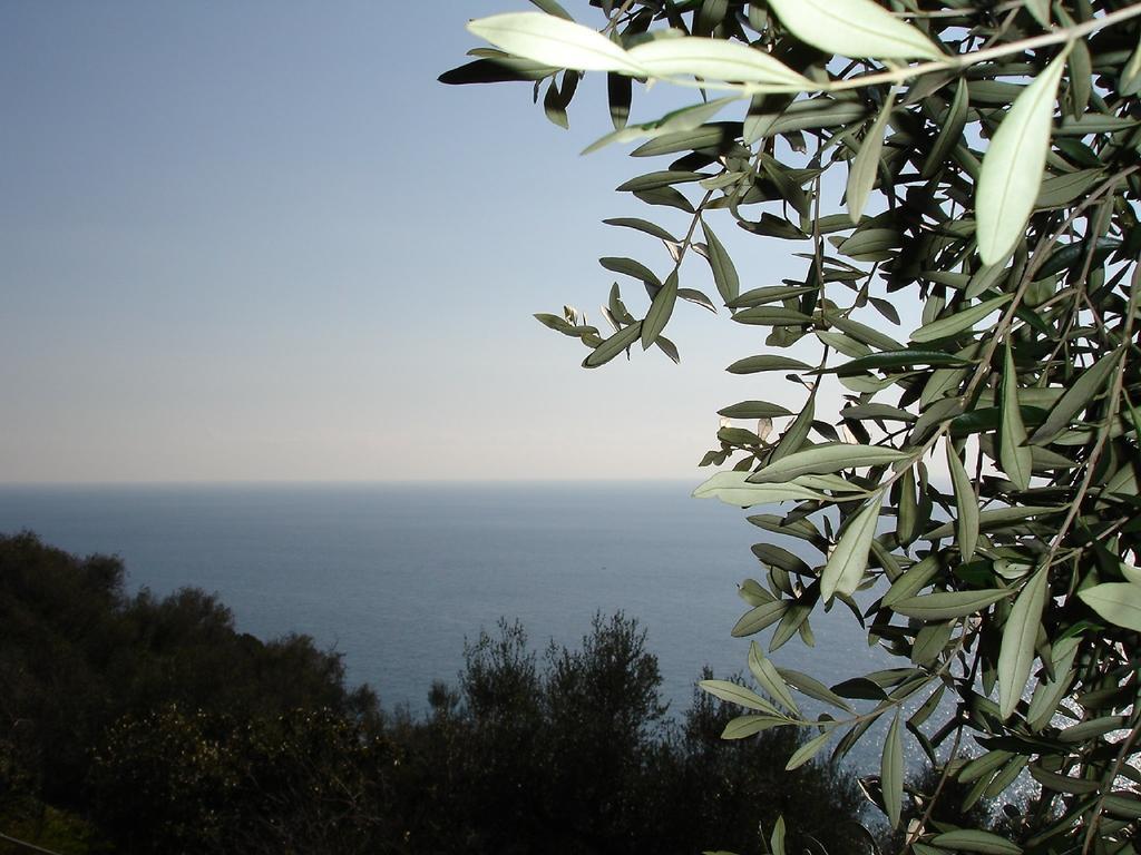 Villa Imperia Luaran gambar