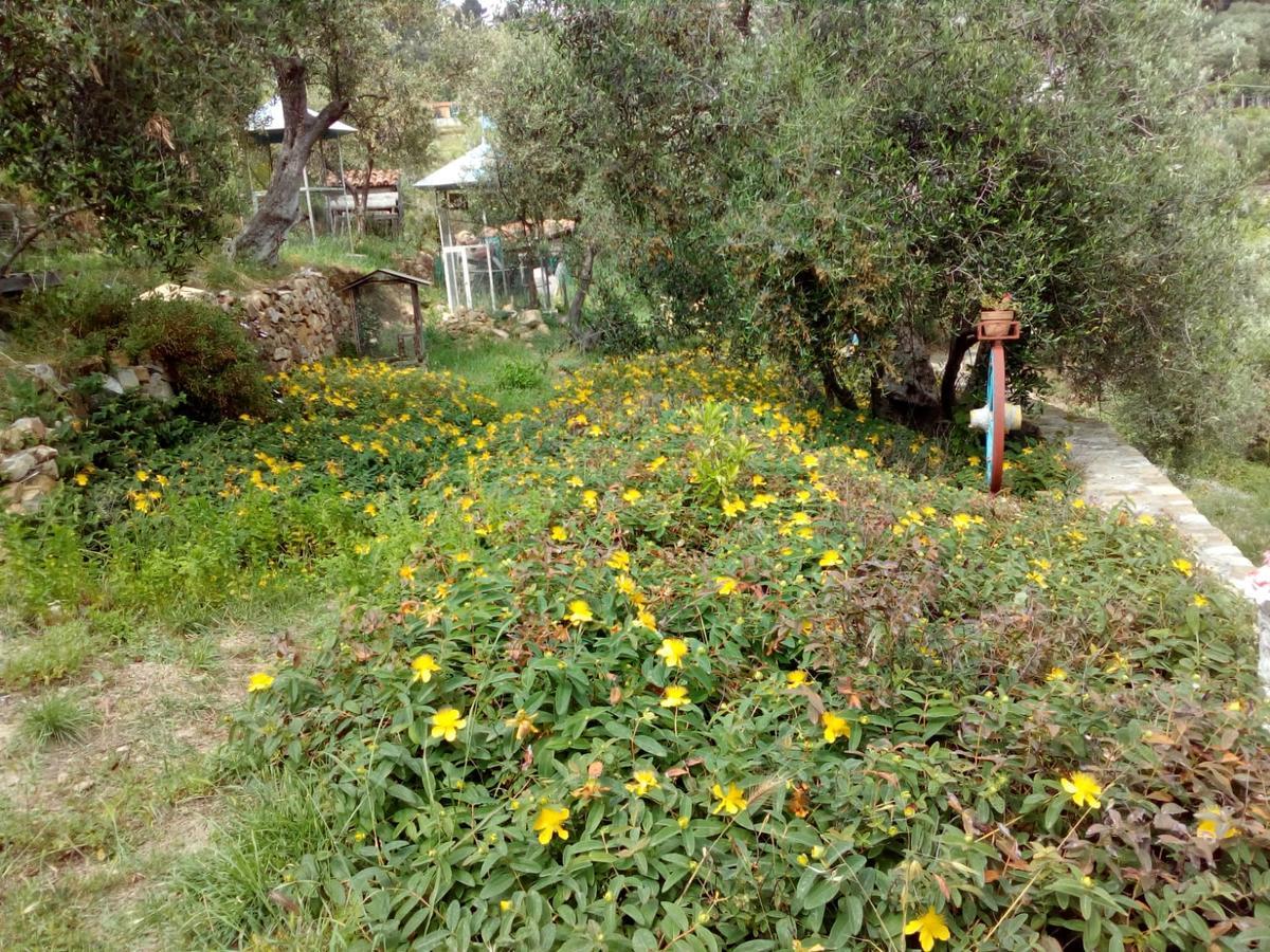 Villa Imperia Luaran gambar